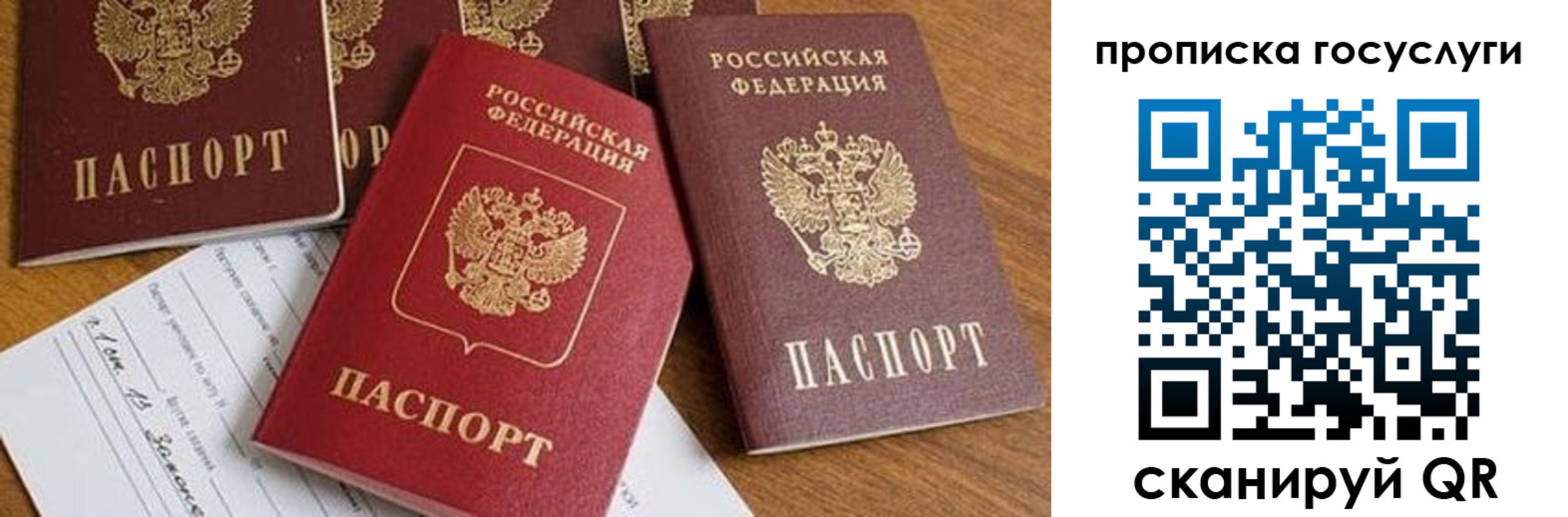 прописка ребенка в Сегеже